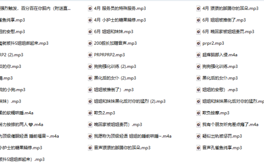 艾露露Ailurus的舰长音频40A+已整理好!